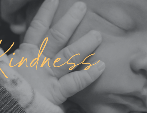 Kegan’s Kindness: remembering through kindness