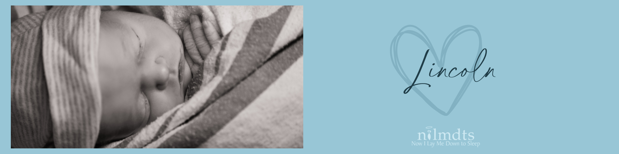 Lincoln Blog Header Loved by Lincoln