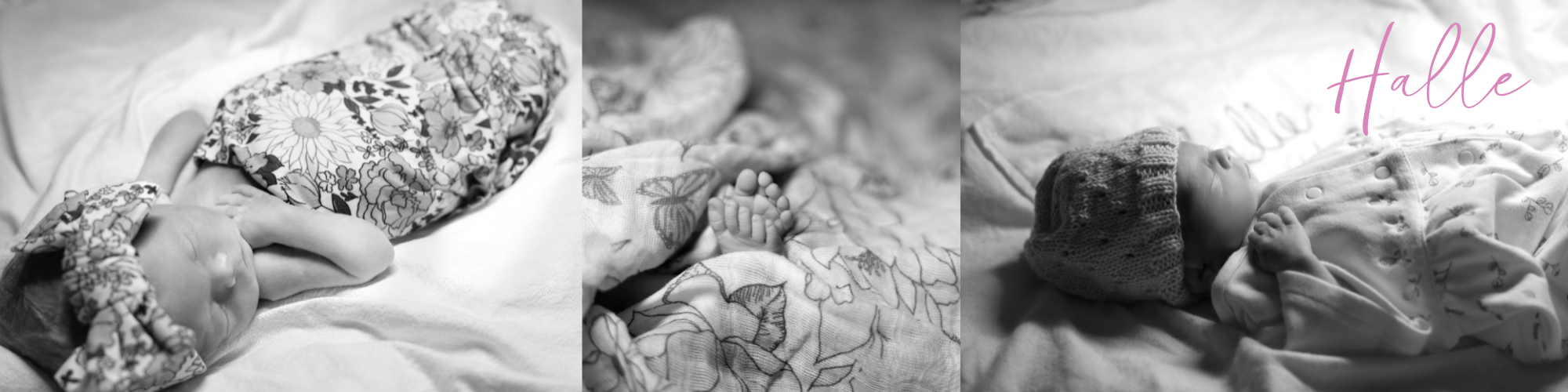 Halle Blog Header Halle’s Story